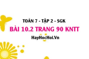 Bài 10.2 trang 90 Toán 7 Tập 2 Kết nối tri thức